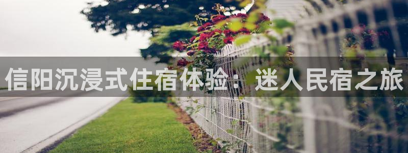 球盟会qmh网页版登录|信阳沉浸式住宿体验：迷人民宿之旅